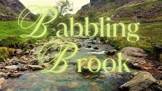 &quot;Tranquil Serenity: Live Stream of a calming Babbling Brook&quot;