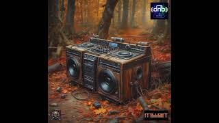 Drum'n'Bass - Intelligent 110