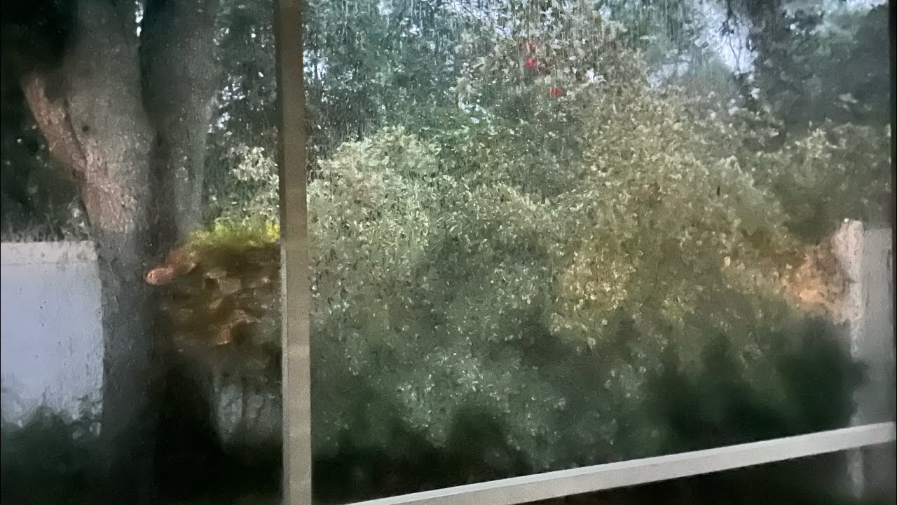 Thunderstorms in Central Florida - ASMR - 100% natural - YouTube
