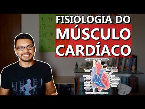 Vídeo: O Coração é Um Músculo? Anatomia, Doenças Cardíacas E Muito Mais