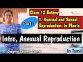 Intro, Asexual Reproduction| Class 12 Botany