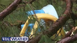 'Close call' for 3-year-old, dogs, and mother - microburst winds send trees toppling onto homes