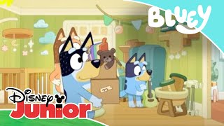 Bluey: Lo que de verdad importa | Disney Junior Oficial