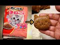 キャットフードを美味しく食べる方法