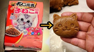 キャットフードを美味しく食べる方法