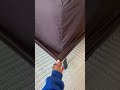 #fittedsheet