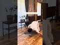 猫背•巻き肩さん必見!姿勢整い呼吸しやすい