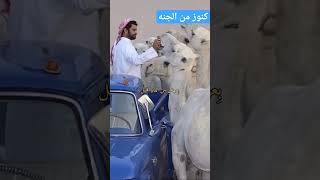 حديث خطير جدا جدا .. اسمع ???