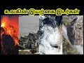 உலகின் இயற்கை இடர்கள்/ World Natural Hazards / Tamil Geography News