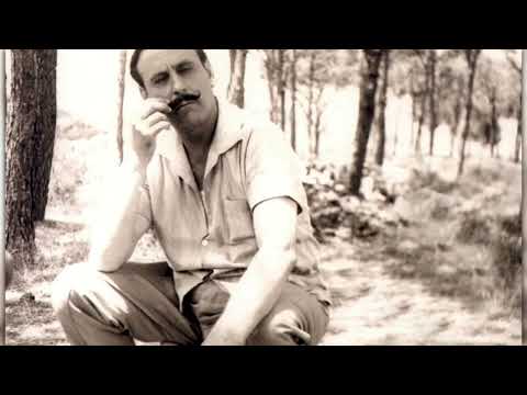 فيلمون وهبة كيف صحتكن