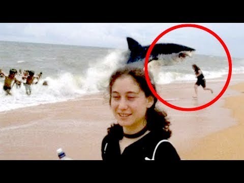 5 ადამიანი,რომელიც ზვიგენის თავდასხმას გადაურჩა
