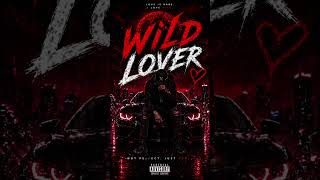 StubbornVis – Wild Lover (Official Audio) | Romantic Dark Song 2026