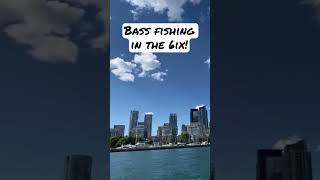 Amazing Smallmouth fishing for the Drizzy?!?! 😂🎣 #shorts