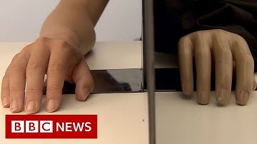 What do you feel when you watch this? - BBC News