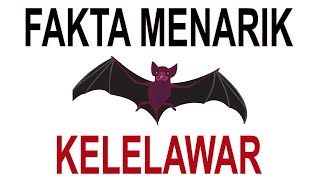 FAKTA MENARIK TENTANG KELELAWAR