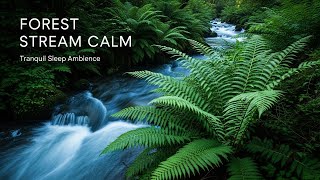 Tranquil Forest Ambience with Tranquil River Flow for Sleep Study Meditation and Inner Peace