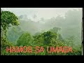 Hamog sa umaga / Buhay Probinsya