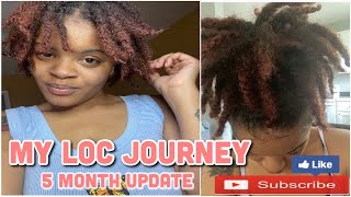 Thick Locs | 5 Month Update My Retwist |