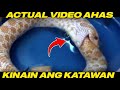 ACTUAL VIDEO AHAS KINAIN ang BUONG KATAWAN hangang MAMATAY