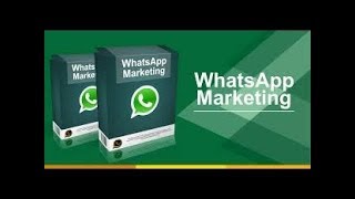 whatsApp cronzer GREEN  اقوى برنامج لارسال رسائل واتساب - bulk whatsapp sender رسائل واتس اب