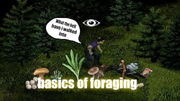 Quick guide to the very basics of foraging