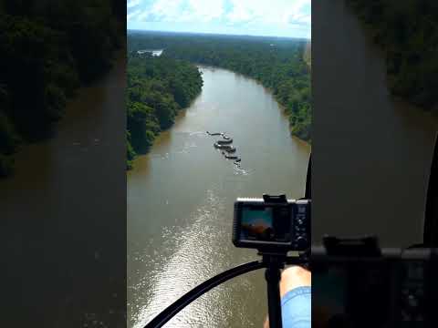 World S Biggest Snake Travel Youtube Shorts Snake Yt Wildlife New Tranding Like Share