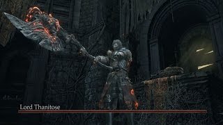dark souls 3 all bosses vs dragon form solo no damage ng 7 dark souls dragon form