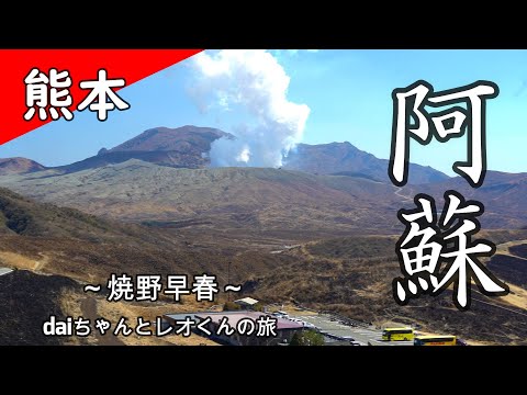 【野焼き早春阿蘇】わんこと一緒にデュカトキャンピングカーで巡る旅！