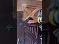 Лазерная очистка, которая экономит часы работы