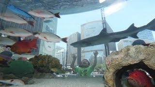 銀座に水族館お目見え