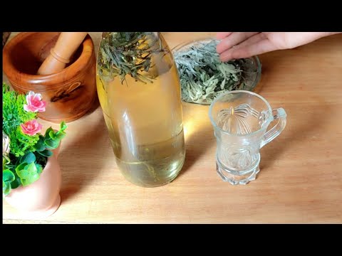 عشبة سالمية او الميرامية لعلاج مجموعة من الامراض بإذن الله تعالى