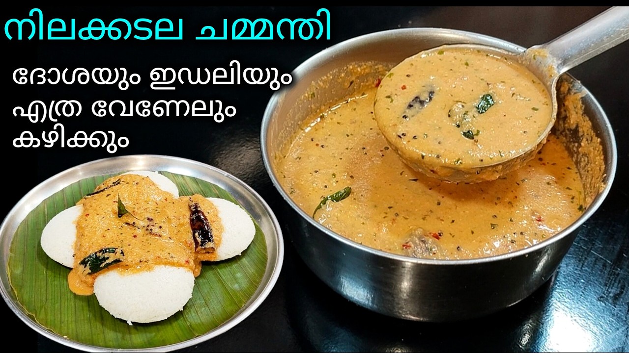 ✅തേങ്ങാ ചമ്മന്തി തോൽക്കും കപ്പലണ്ടി ചട്ണി / Peanut Chutney Recipe Malayalam@lemon_and_chilli