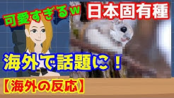 まとめサイトをまとめたch Youtube まとめサイトをまとめたch Youtube