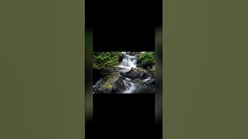 سوره القيامه تلاوه هادئه ارح سمعك 🌜