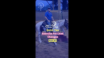 Exercise For Lead Changes! Part 1! | The Horse Guru-Michael Gascon