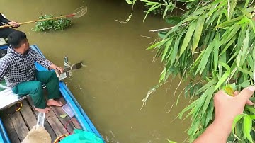 Thực Tế Máy Kéo Cáp | Thả Cáp | Một Vợt | Kích Cá Nước Ngọt Đập Hồ Thuỷ Điện | Sông LỚN | 0369051161