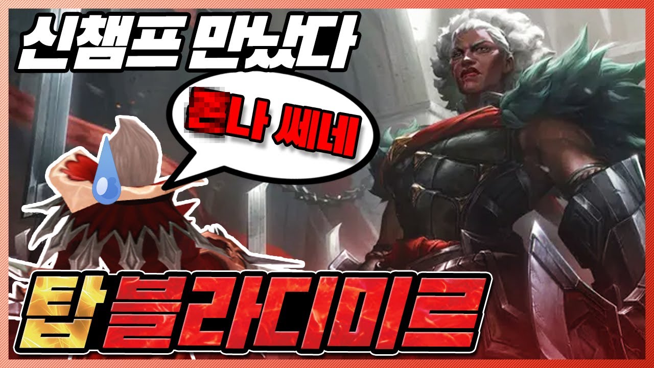 신챔프 암베사를 처음만나본 탑블라디미르