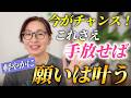 【軽やかに叶う✨️】今すぐ手放したほうがいいこと、絶対に手放してはいけないこと【引き寄せの法則】2026年夏至からエネルギーが大きく変わります。もっと軽やかにスムーズに願いを叶える思考や行動を学ぼう！