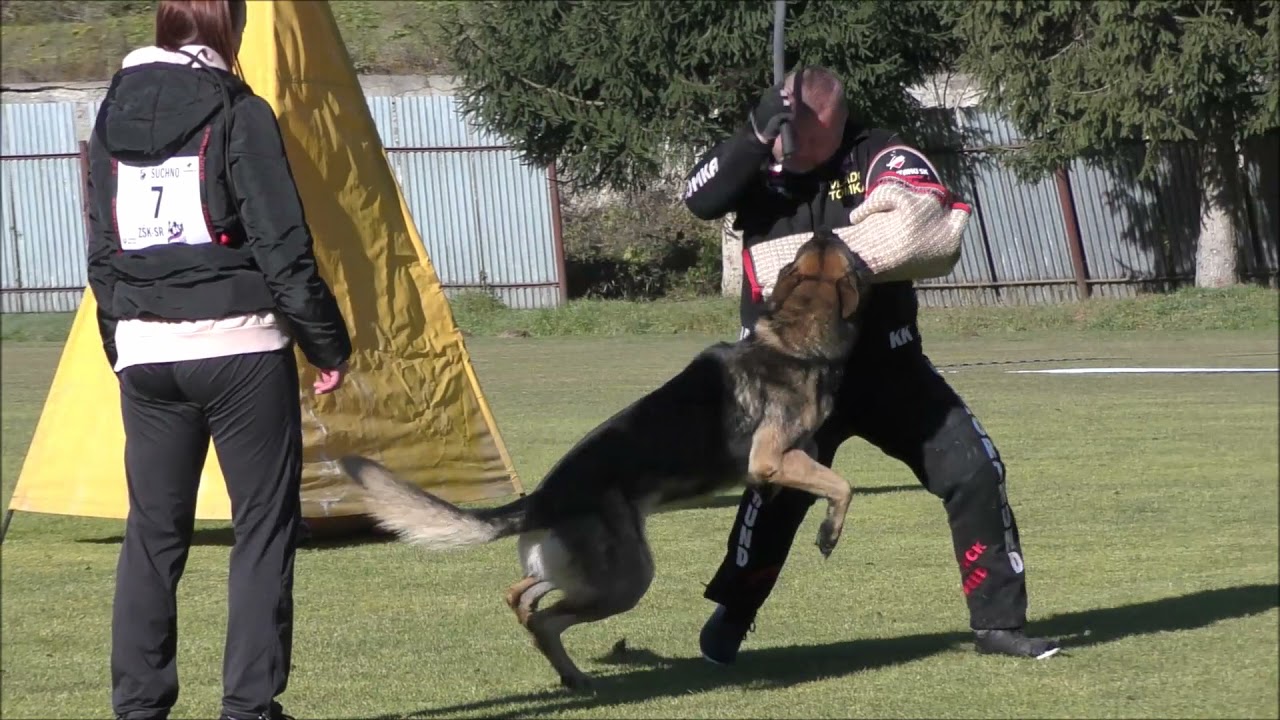 Bonitácia NO MKK BREZNO 2021