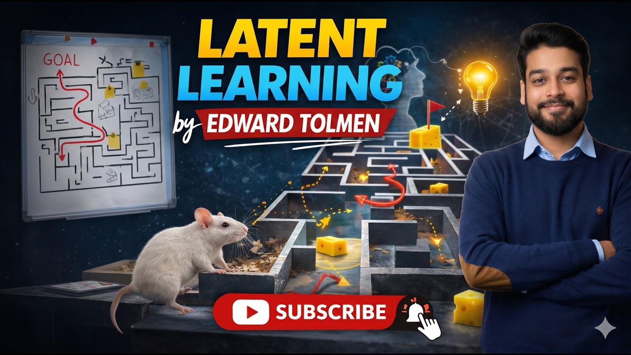 Rat Math Learning Program Latent Learning Theory by Tolman | Rat Maze Experiment Explained - YouTube