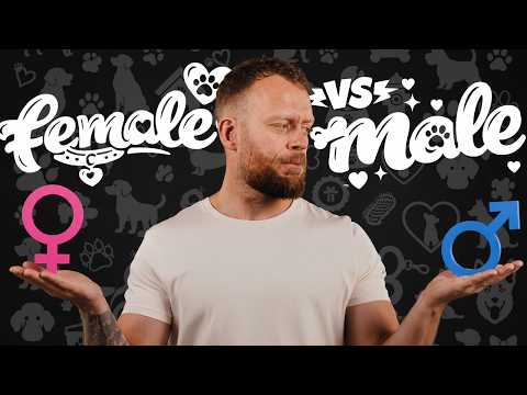 The Truth About Male VS Female Dogs (Behaviourist Explains)