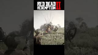 Bears Vs Wagon Part 2