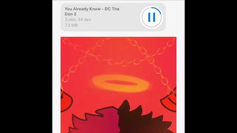 DC The Don - You Already Know Snippet