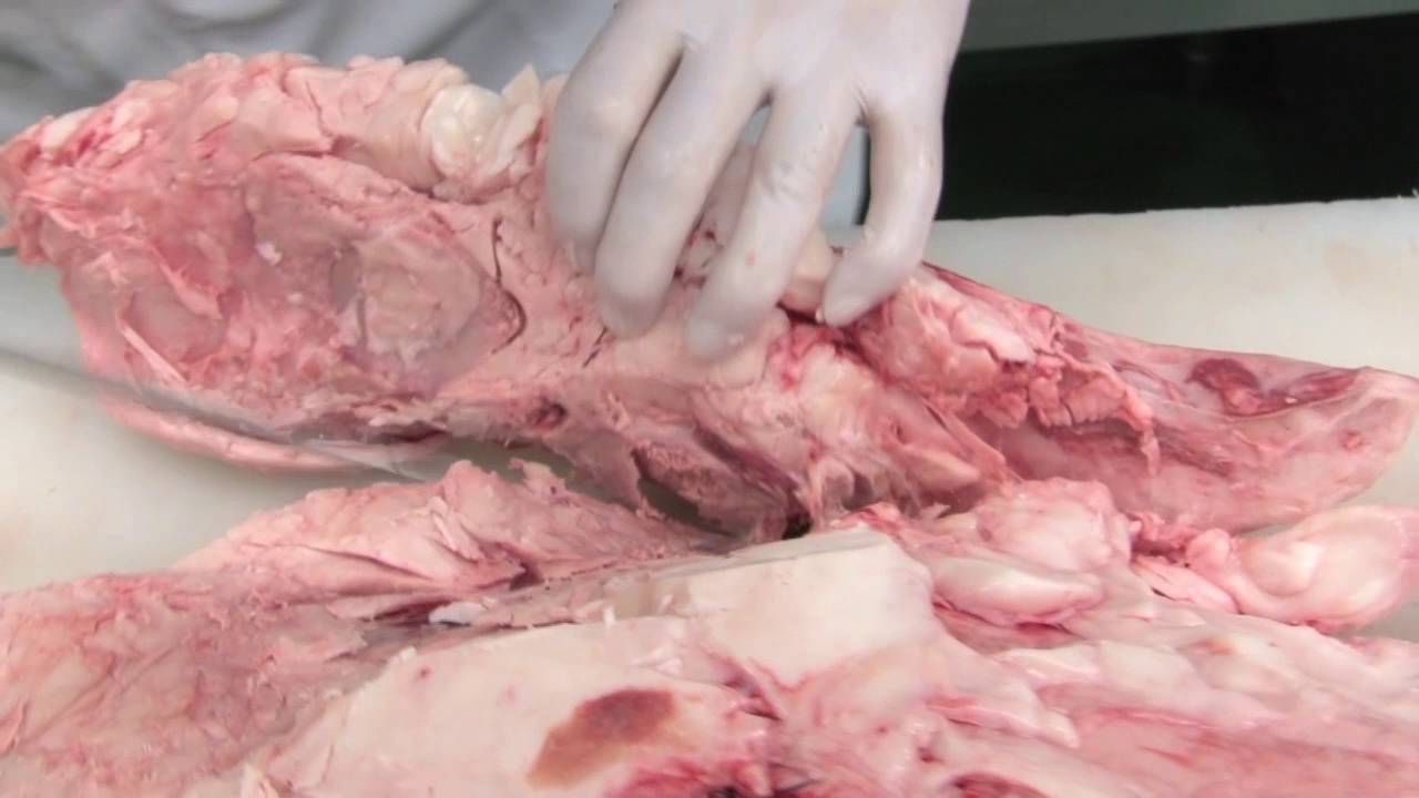 門崎熟成肉 ヒレ 塊焼き 1g 1個 塊焼き 部位別指定購入 門崎熟成肉 格之進 の通販サイト