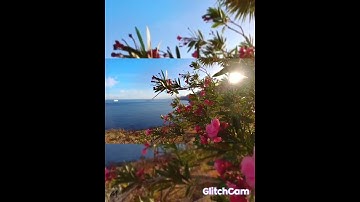 سورة الفاتحة بصوت جميل