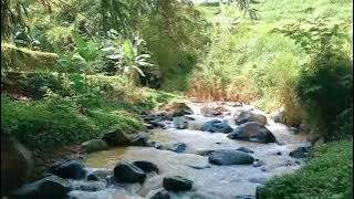 Javanese music sound relaxation# deep meditation