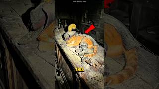 Shrek Characters Come Alive in Abandoned House😳😱