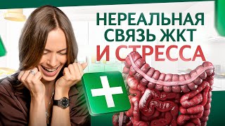 Неочевидная связь ЖКТ и СТРЕССА: откровение диетолога