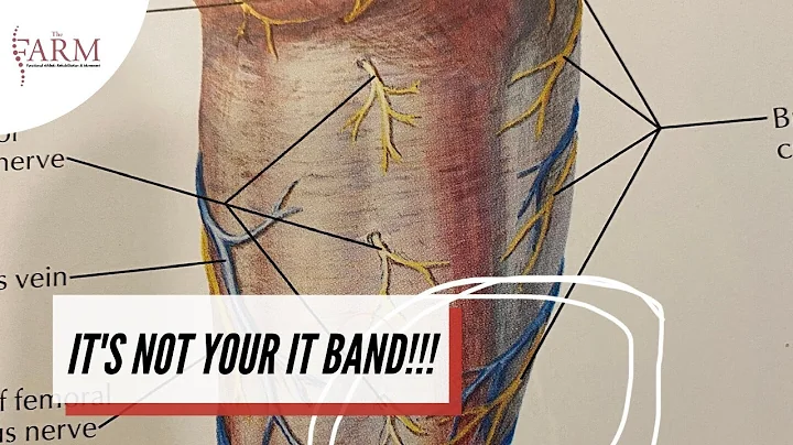 Understanding IT Band Pain: Debunking Common Misconceptions