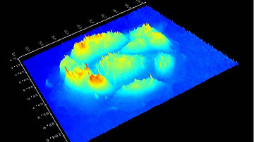 MDCK cells captured with digital holographic microscope